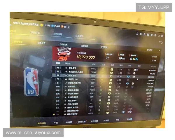 NBA球员专项技能训练与动作标准化，nba球员技术
