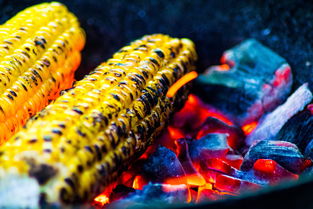 爱游戏体育下载-运动饮食干预对运动表现的促进研究，举例阐述饮食运动对健康的意义