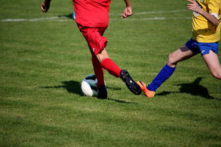 爱游戏体育官网-中国足球青训计划支持地方足球发展，中国足球青训政策